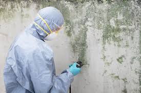 Best Mold Prevention Services  in Canyon Day, AZ